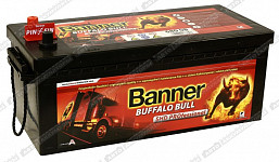 Banner Buffalo Bull 680 08 SHD PROfessional