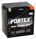 Fortex VRLA 1230 (YTX30L-BS)